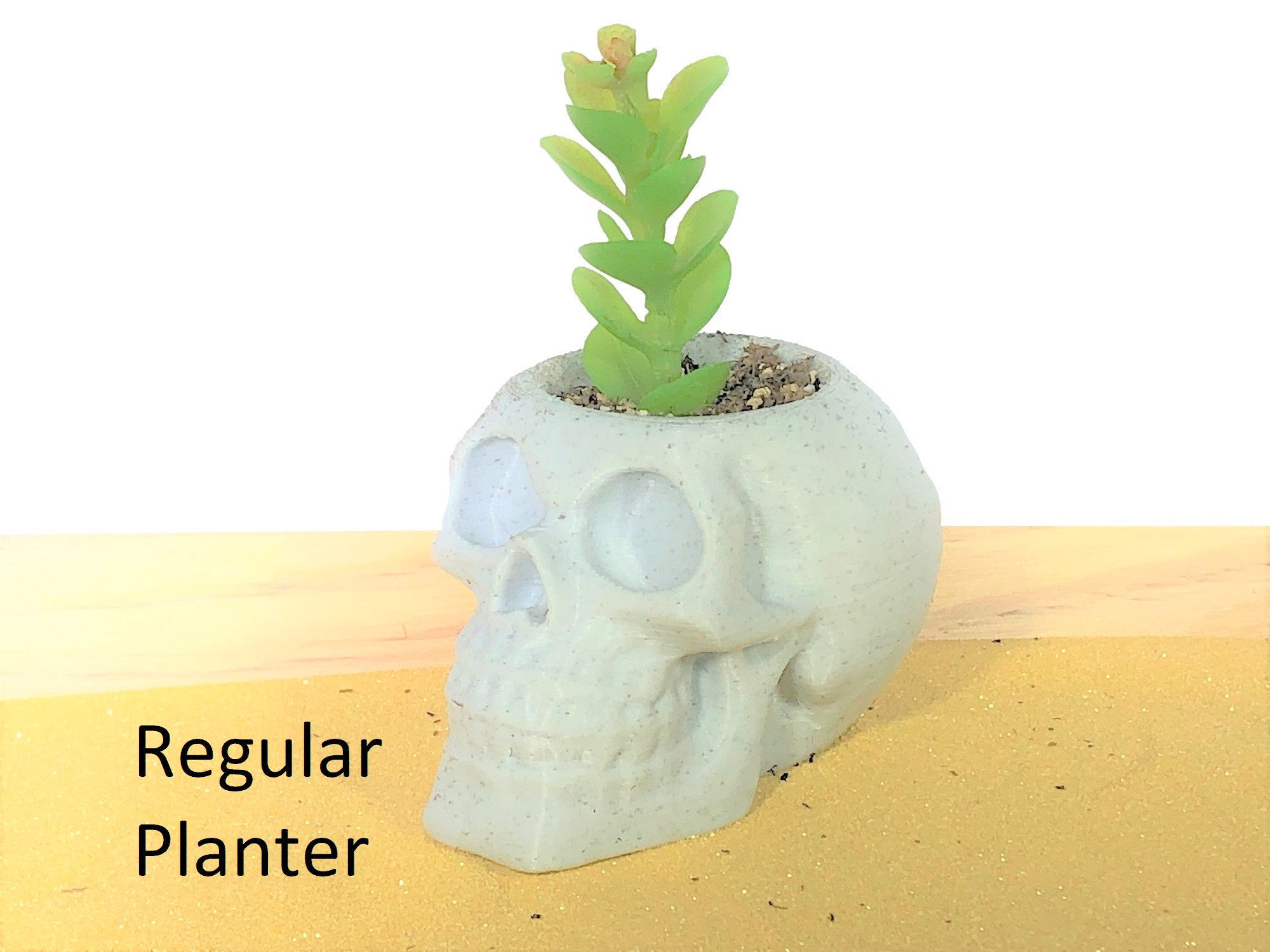 Skull Planter 3D Printed - Hanging Planters - Succulent Planter Pot -  Flower Pot For Succulents, Air Plant Holder - Succulent Planters